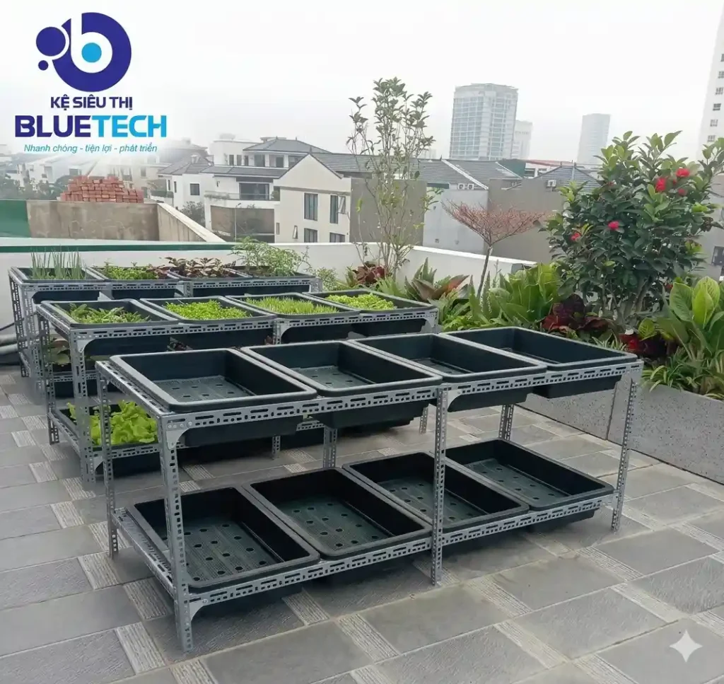 lap-dat-ke-sat-V-lo-trong-rau-san-thuong- Bluetech-2026