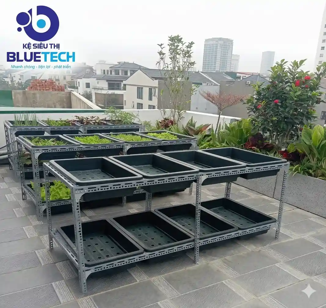 lap-dat-ke-sat-V-lo-trong-rau-san-thuong- Bluetech-2026